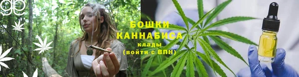 ГАЛЛЮЦИНОГЕННЫЕ ГРИБЫ Балахна